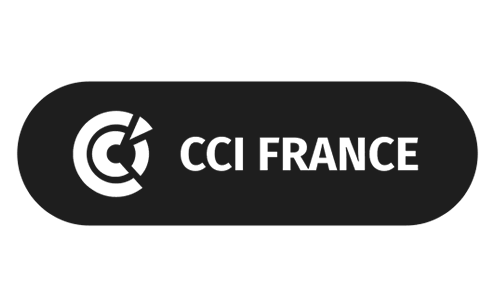 cci logo france noir