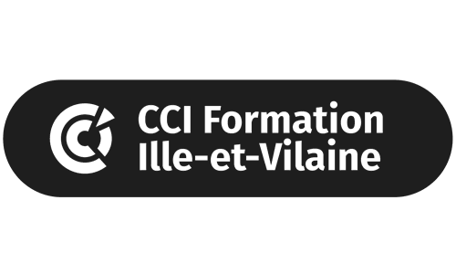 cci logo noir 35 rennes