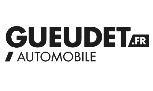 groupe gueudet logo noir